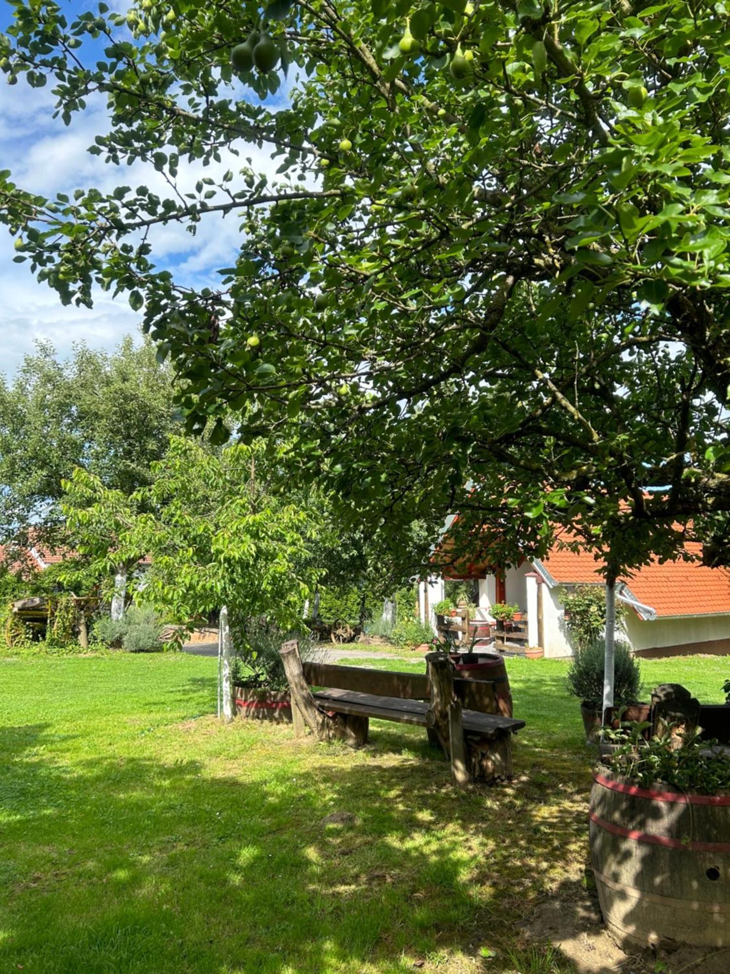 Camping Lukac Кутина Екстер'єр фото